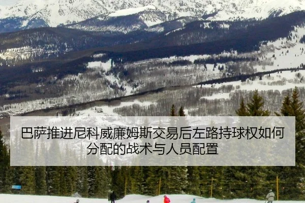 ba-sa-tui-jin-ni-ke-wei-lian-mu-si-jiao-yi-hou-zuo-lu-chi-qiu-quan-ru-he-fen-pei-de-zhan-shu-yu-ren-yuan-pei-zhi-2-282.jpg