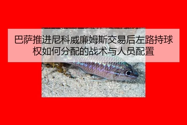巴萨推进尼科威廉姆斯交易后左路持球权如何分配的战术与人员配置