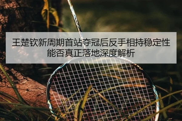 wang-chu-qin-xin-zhou-qi-shou-zhan-duo-guan-hou-fan-shou-xiang-chi-wen-ding-xing-neng-fou-zhen-zheng-luo-di-shen-du-jie-2-289.jpg